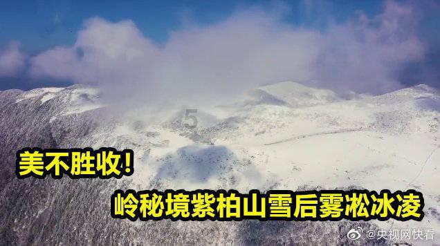 奚梦瑶因为一支包包冲上热搜，二奢市场原来水这么深？！